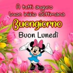 50 Buon Lunedì buona giornata per WhatsApp CiaoBuongiorno it