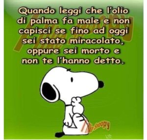 38 Vignette Con Snoopy Simpaticissime Da Condividere CiaoBuongiorno It