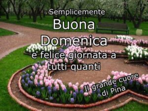 49+ Buona Domenica Immagini E Link Per Whatsapp - CiaoBuongiorno.it