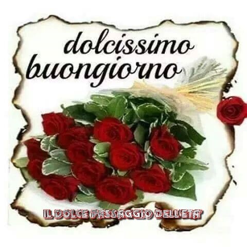 Dolcissimo buongiorno amore